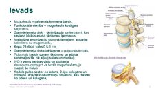 Prezentācija 'Mugurkaula starpskriemeļu diska bojājumi', 2.