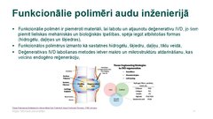 Prezentācija 'Mugurkaula starpskriemeļu diska bojājumi', 11.