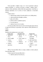 Prakses atskaite 'Finanšu vadības prakses atskaite', 14.