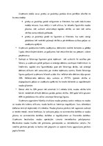 Prakses atskaite 'Finanšu vadības prakses atskaite', 19.