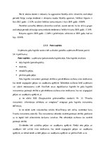 Prakses atskaite 'Finanšu vadības prakses atskaite', 22.