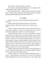 Prakses atskaite 'Finanšu vadības prakses atskaite', 23.