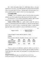 Prakses atskaite 'Finanšu vadības prakses atskaite', 32.