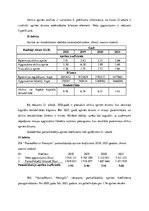 Prakses atskaite 'Finanšu vadības prakses atskaite', 45.