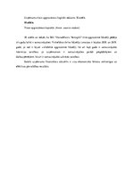 Prakses atskaite 'Finanšu vadības prakses atskaite', 47.