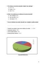 Referāts 'Ceļmalu reklāmu ietekme uz autovadītāju', 13.