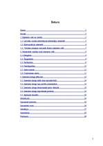 Referāts 'Neliterāra latviešu valoda interneta vidē', 2.