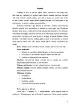 Referāts 'Neliterāra latviešu valoda interneta vidē', 3.