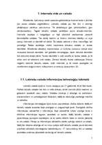 Referāts 'Neliterāra latviešu valoda interneta vidē', 5.