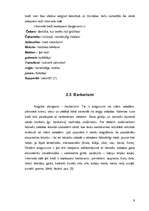 Referāts 'Neliterāra latviešu valoda interneta vidē', 9.