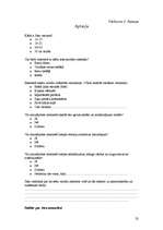 Referāts 'Neliterāra latviešu valoda interneta vidē', 32.