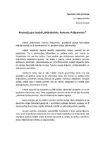 Eseja 'Recenzija par izstādi "Mākslinieks. Portrets. Pašportrets"', 1.