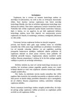 Referāts 'Kontrolinga vieta un loma vadīšanas procesā', 13.