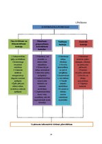 Referāts 'Kontrolinga vieta un loma vadīšanas procesā', 16.
