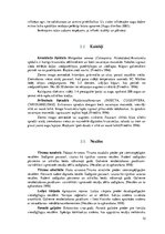 Referāts 'Vasaras rapša aizsardzības sistēmas plānošana', 10.