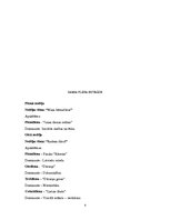 Konspekts 'Kvalifikācijas eksāmens pirmsskolas skolotāja specialitātē', 4.