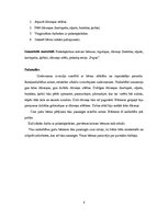 Konspekts 'Kvalifikācijas eksāmens pirmsskolas skolotāja specialitātē', 8.