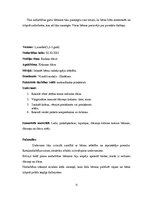 Konspekts 'Kvalifikācijas eksāmens pirmsskolas skolotāja specialitātē', 11.