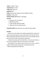 Konspekts 'Kvalifikācijas eksāmens pirmsskolas skolotāja specialitātē', 13.