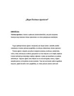 Konspekts 'Rīgas Tūrisma aģentūras', 1.