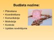 Prezentācija 'Budžets un budžeta kalkulators', 4.