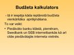 Prezentācija 'Budžets un budžeta kalkulators', 7.