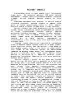 Referāts 'Baltais stārķis', 1.