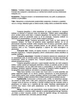 Referāts 'Transporta ģeogrāfija', 2.