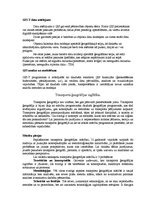 Referāts 'Transporta ģeogrāfija', 7.