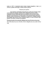 Referāts 'Transporta ģeogrāfija', 8.