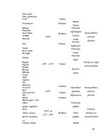 Prakses atskaite 'Restorānu prakses atskaite', 26.
