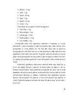 Prakses atskaite 'Restorānu prakses atskaite', 28.