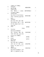 Prakses atskaite 'Restorānu prakses atskaite', 45.