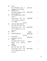Prakses atskaite 'Restorānu prakses atskaite', 47.