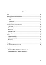 Referāts 'Ikdienā lietojamās elektroniskās ierīces', 3.