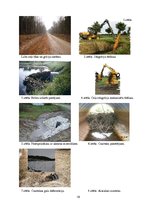 Referāts 'Ceļa sāngrāvju un caurteku uzturēšanā veicamie darbi', 19.