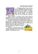 Konspekts 'Ēģipte', 6.