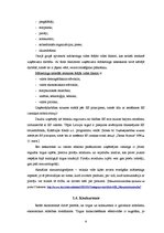 Referāts 'Uzņēmuma "Ripo" mārketinga darbības analīze', 9.