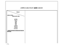 Paraugs 'Audita gada plāns', 2.