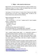 Referāts 'Beļģijas darba tirgus kvalitatīvā un kvantitaīvā analīze (1995. - 2006.gads)', 3.