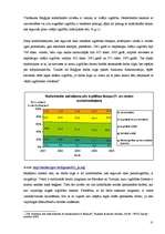 Referāts 'Beļģijas darba tirgus kvalitatīvā un kvantitaīvā analīze (1995. - 2006.gads)', 11.