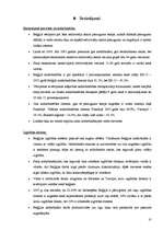 Referāts 'Beļģijas darba tirgus kvalitatīvā un kvantitaīvā analīze (1995. - 2006.gads)', 32.