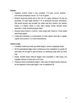 Referāts 'Beļģijas darba tirgus kvalitatīvā un kvantitaīvā analīze (1995. - 2006.gads)', 33.