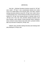 Diplomdarbs 'Mārketinga komunikācijas pielietojums atjaunotā basketbola kluba "VEF Rīga" zīmo', 2.