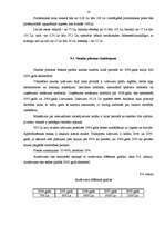 Biznesa plāns 'Biznesa plāns ieroču un mednieku veikalam', 16.