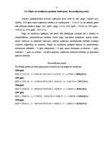 Biznesa plāns 'Biznesa plāns ieroču un mednieku veikalam', 17.