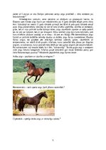 Referāts 'Jāšanas sporta attīstība līdz karjerai', 5.