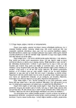 Referāts 'Jāšanas sporta attīstība līdz karjerai', 7.