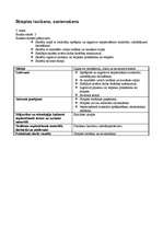 Konspekts 'Mājturības un tehnoloģiju stundu izvērsts konspekts', 16.