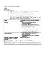 Konspekts 'Mājturības un tehnoloģiju stundu izvērsts konspekts', 18.